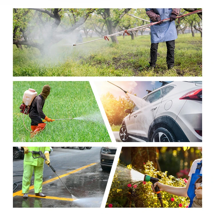 Portable Agricultural 4 Stroke Gasoline Petrol Motor Engine Power Spray Sprayer Pump Pumps