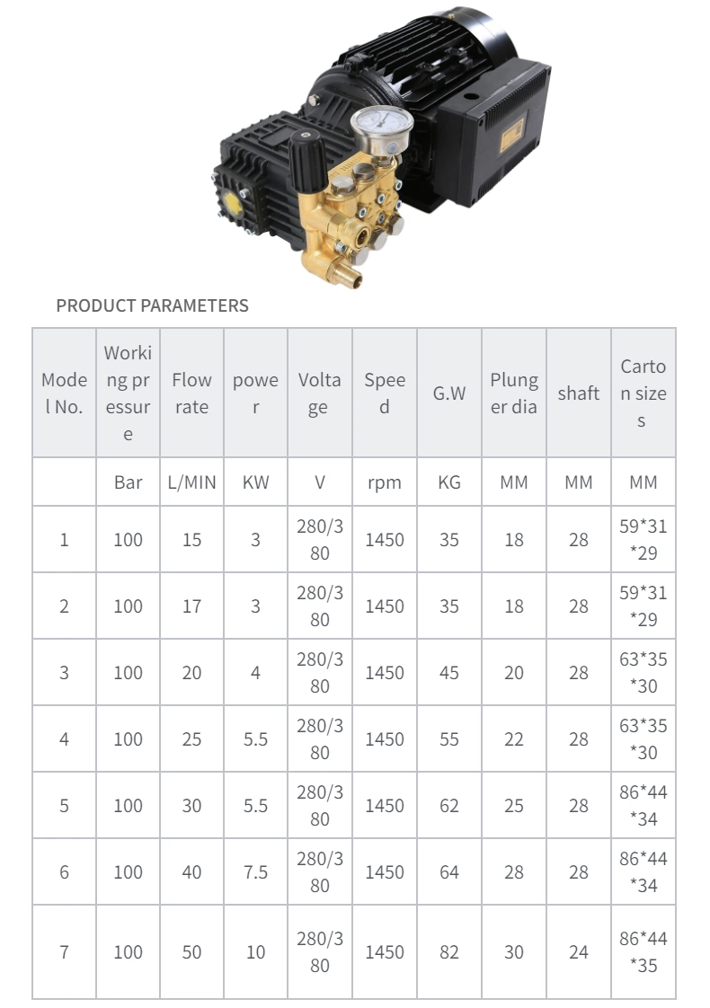 Water Jetter Mechanical Plunger 100bar High Pressure Washer Pump