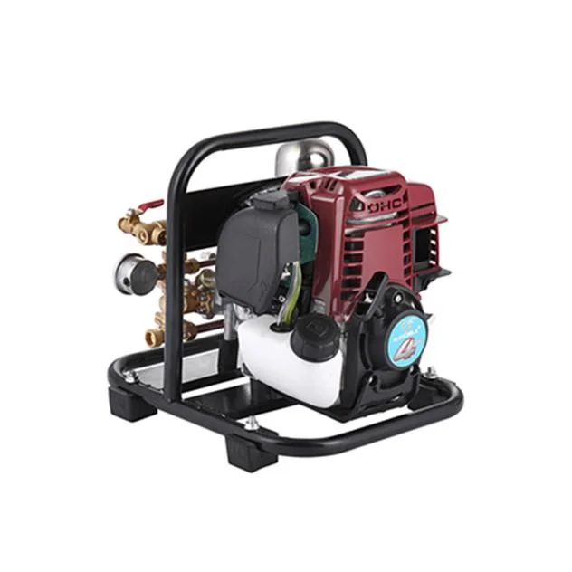 Dl Agricultural High Power Gasoline Engine Drives The Sprayer Self-Priming Pump